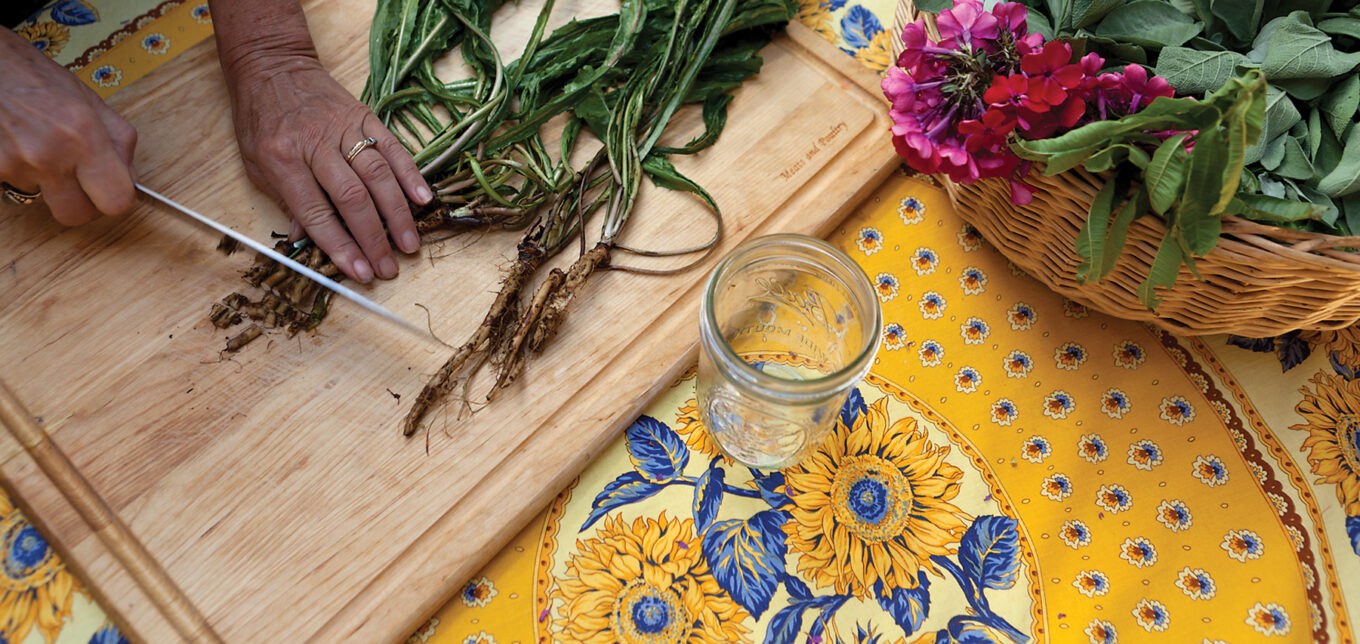 Homemade Herbal Medicines and Their Uses with Pictures – Mother Earth News - Vimarsana News